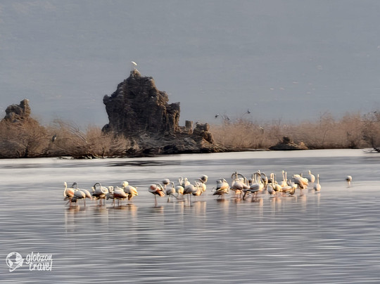 Lake Abbe-Dikhil Region必去景点