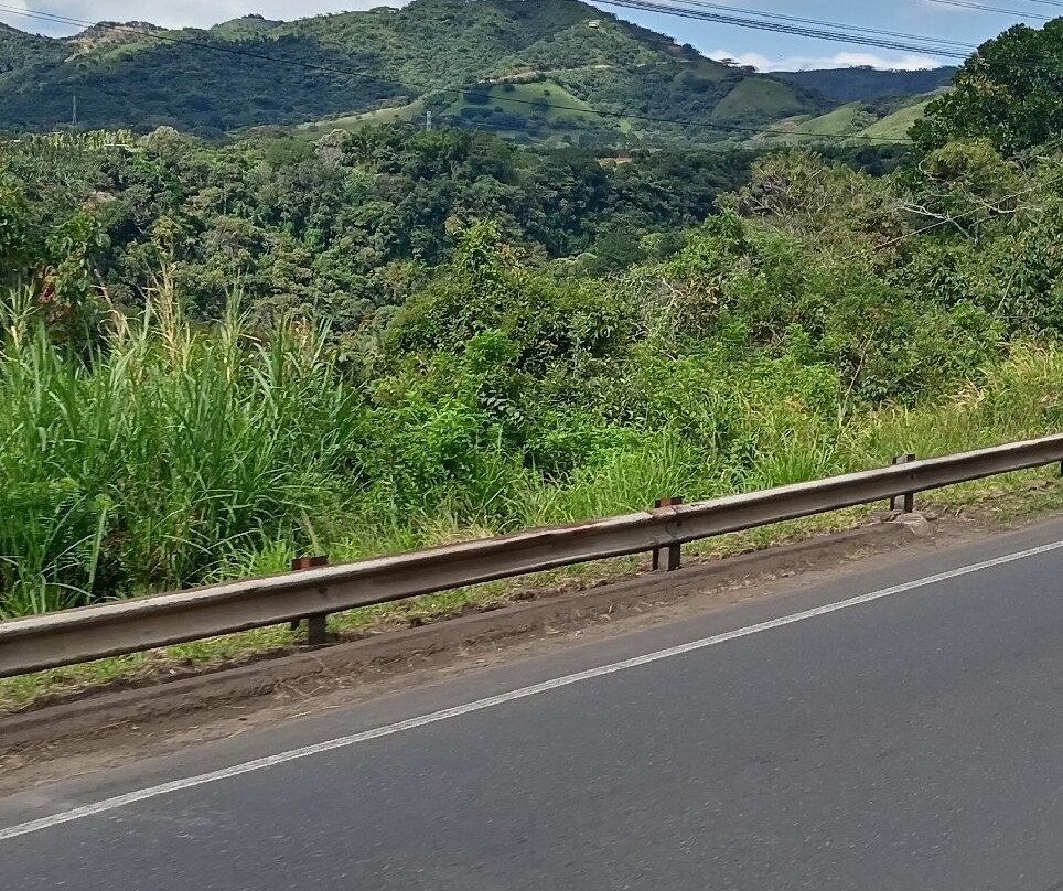 Costa Rica's Senor Scissorhands Topiary-Zarcero必去景点