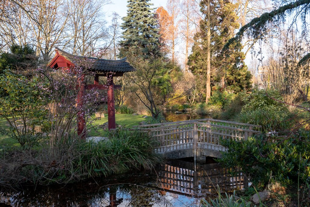 Japanese Garden Leverkusen-勒沃库森必去景点