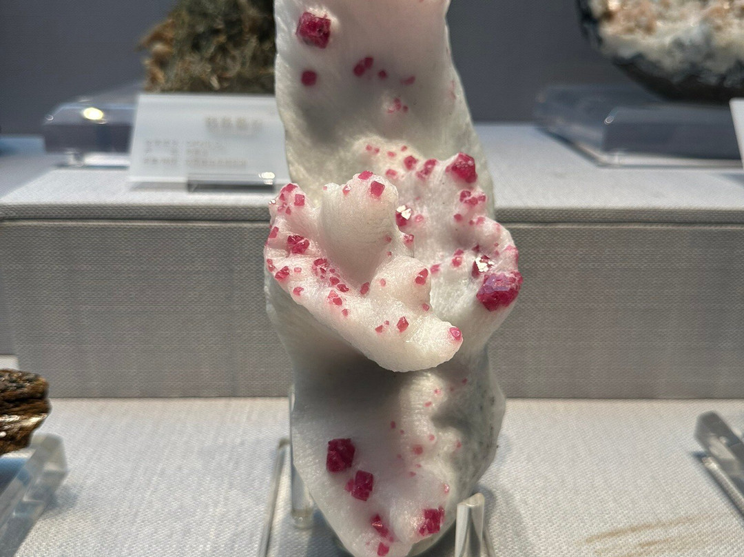 湖南省地质博物馆-长沙市必去景点