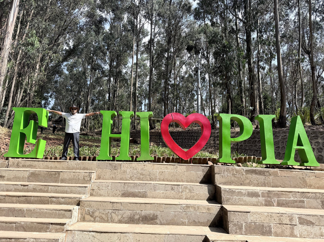 Ecotravel Ethiopia Tours and car rental-亚的斯亚贝巴必去景点