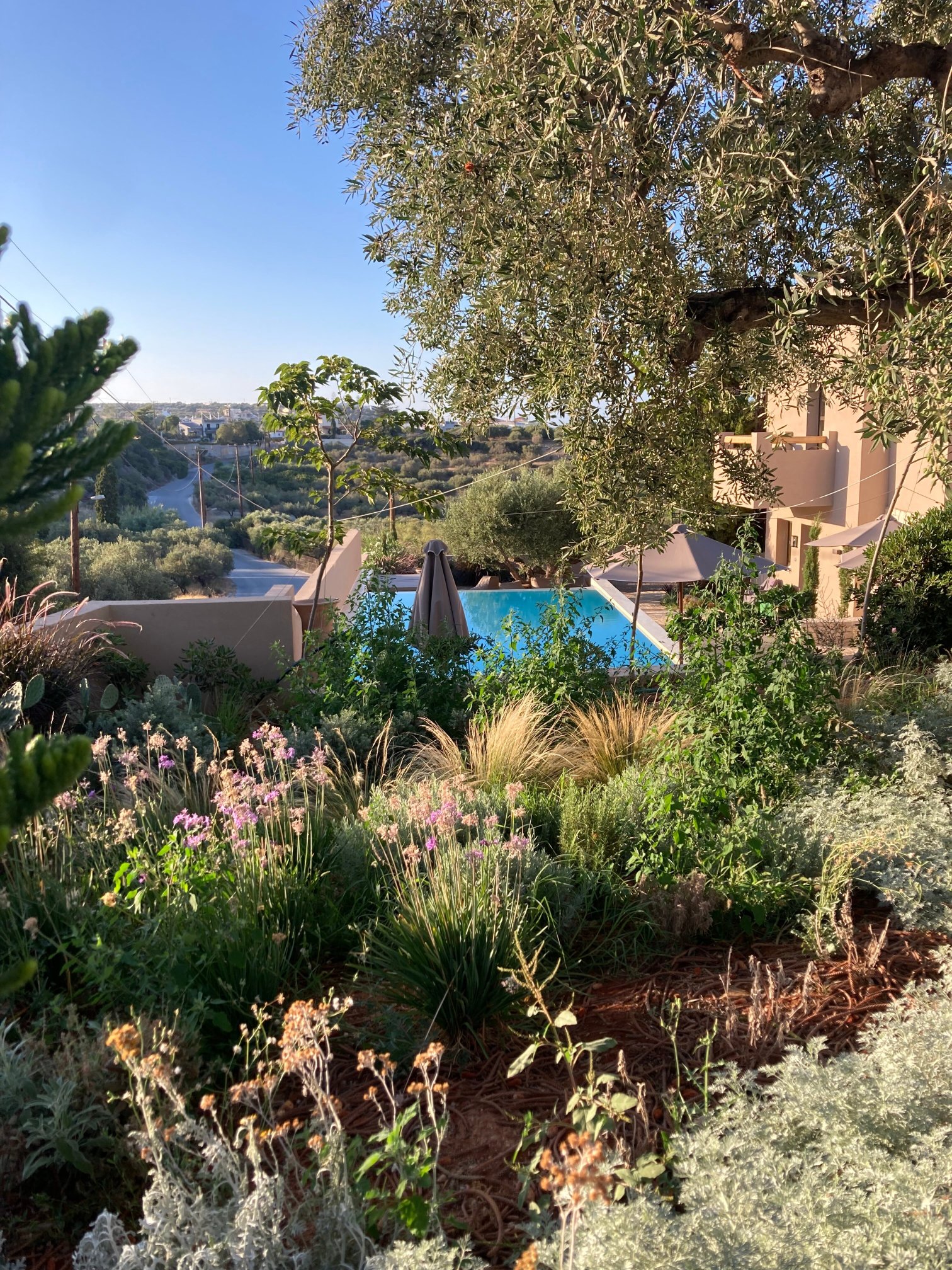 Porto Village-官方