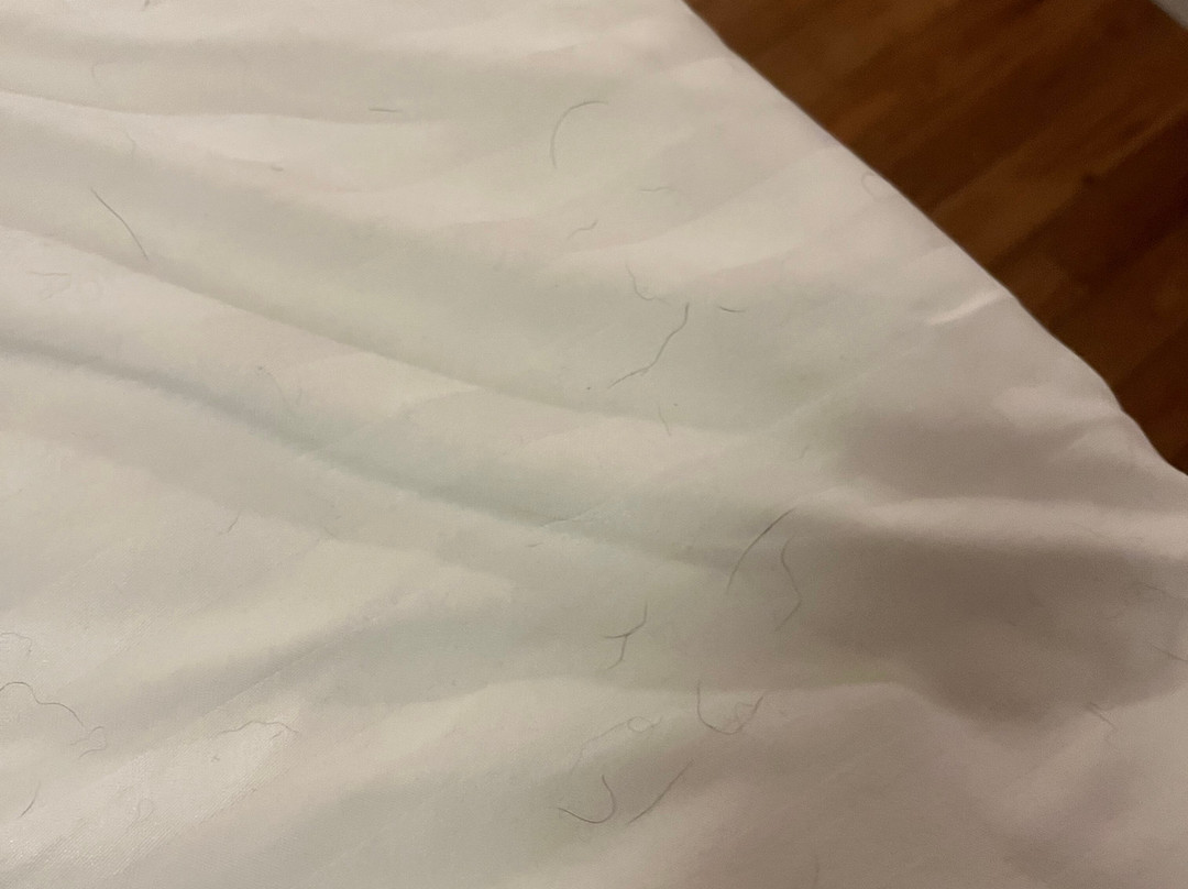 Sure Hotel By Best Western Radmannen主图