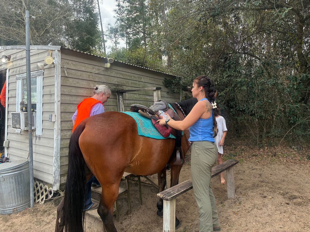 Sunshine Riding Trails - Day Tours-巴拿马城海滩必去景点