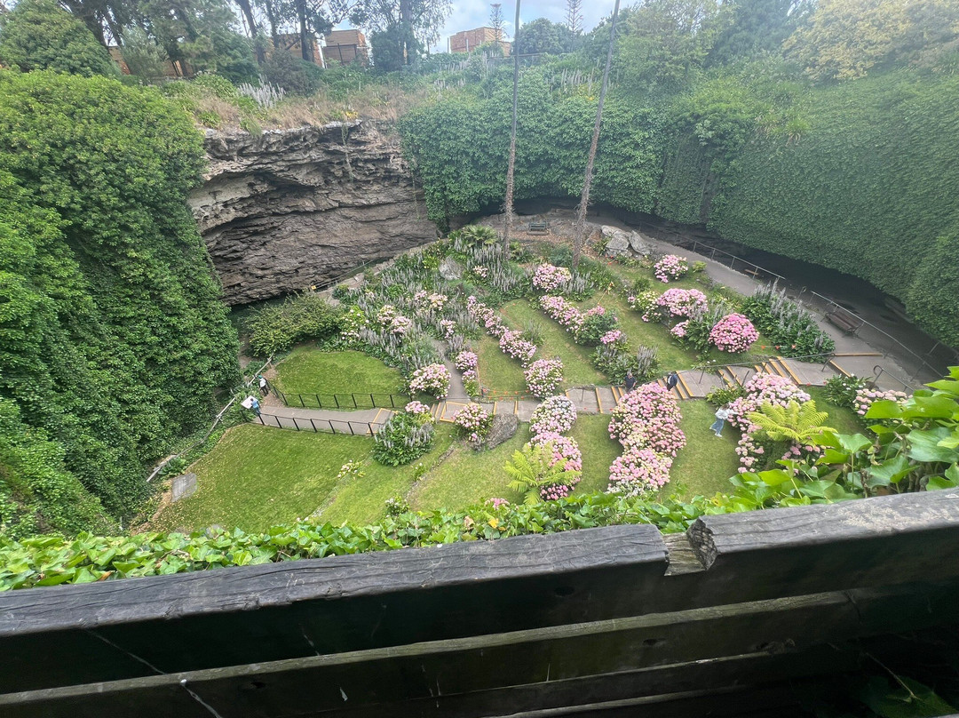 洞穴花园-芒特甘比尔必去景点