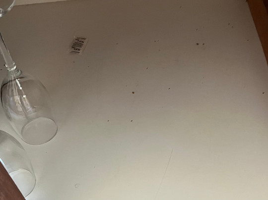 Donnybrook Motel主图