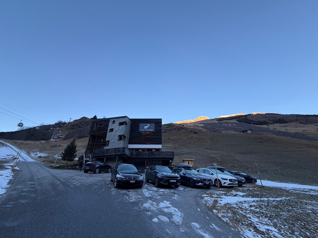 Hotel Steinbock主图