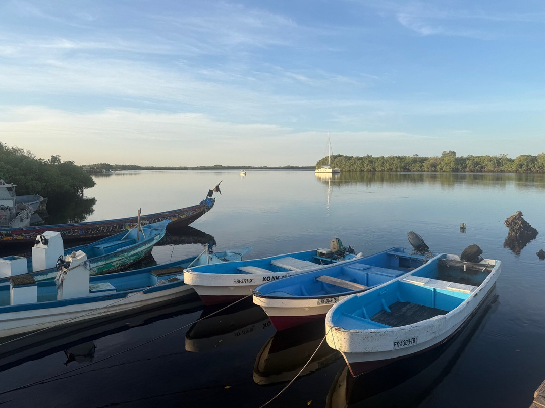 Turaco Birdwatching and Expedition Tours-Bijilo必去景点