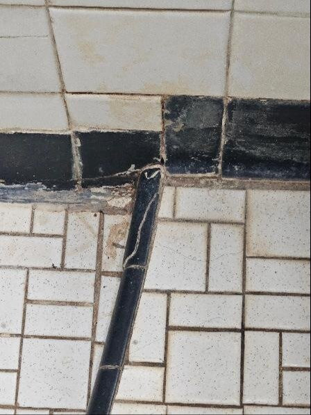 Little Sahara Inn & Cabins主图