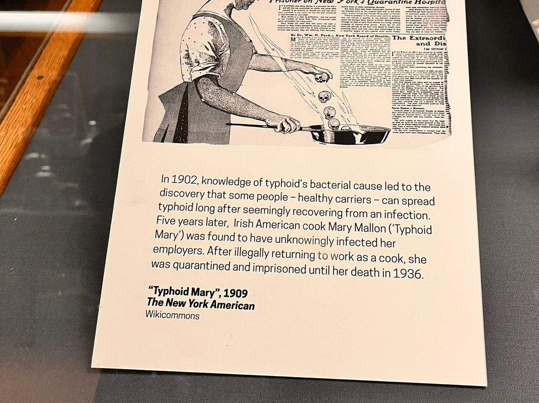 History of Science Museum-牛津必去景点