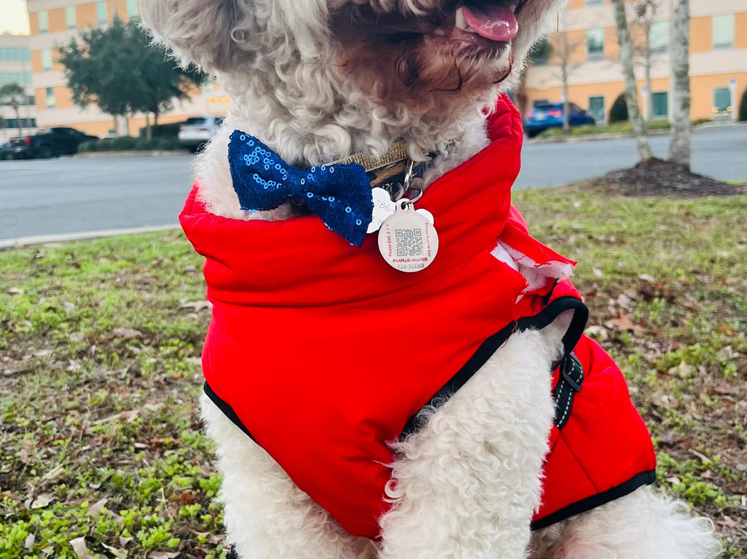 Home2 Suites by Hilton Tallahassee State Capitol主图