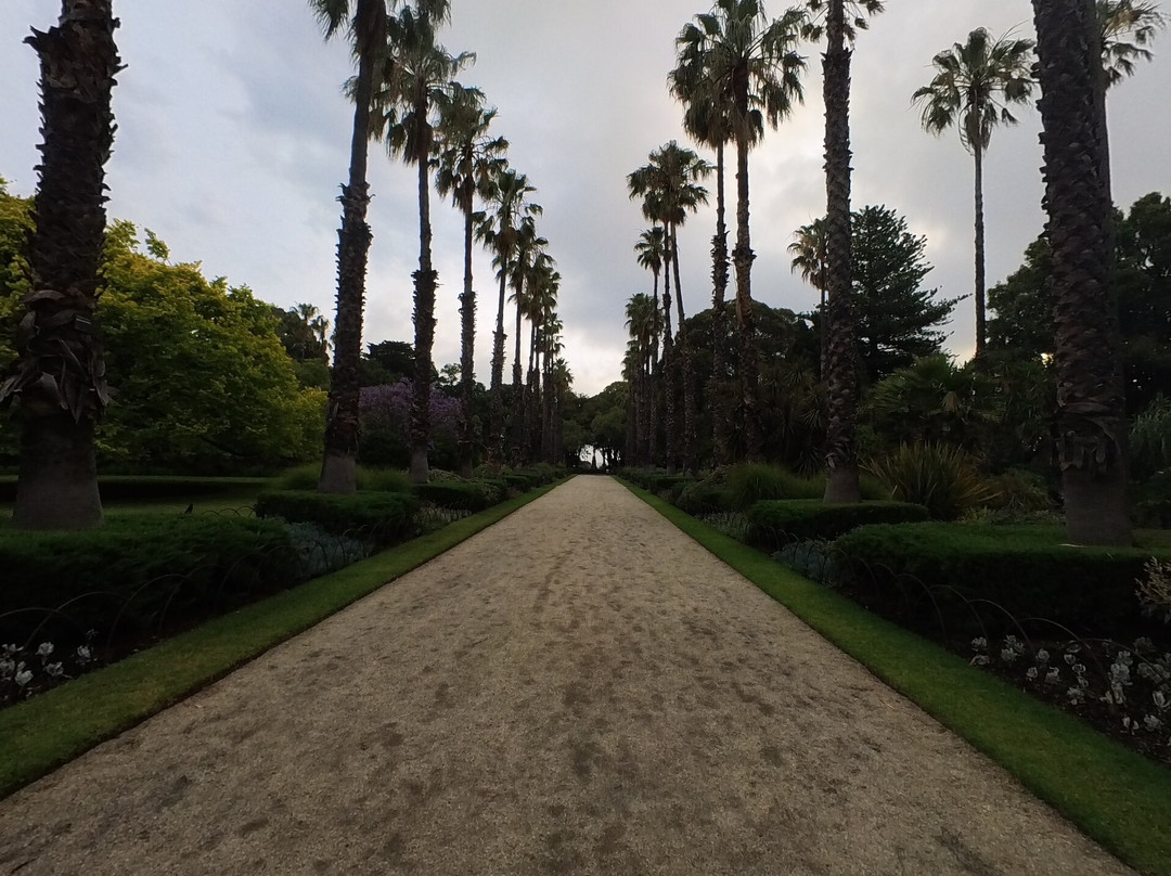Williamstown Botanic Gardens-威廉斯镇必去景点