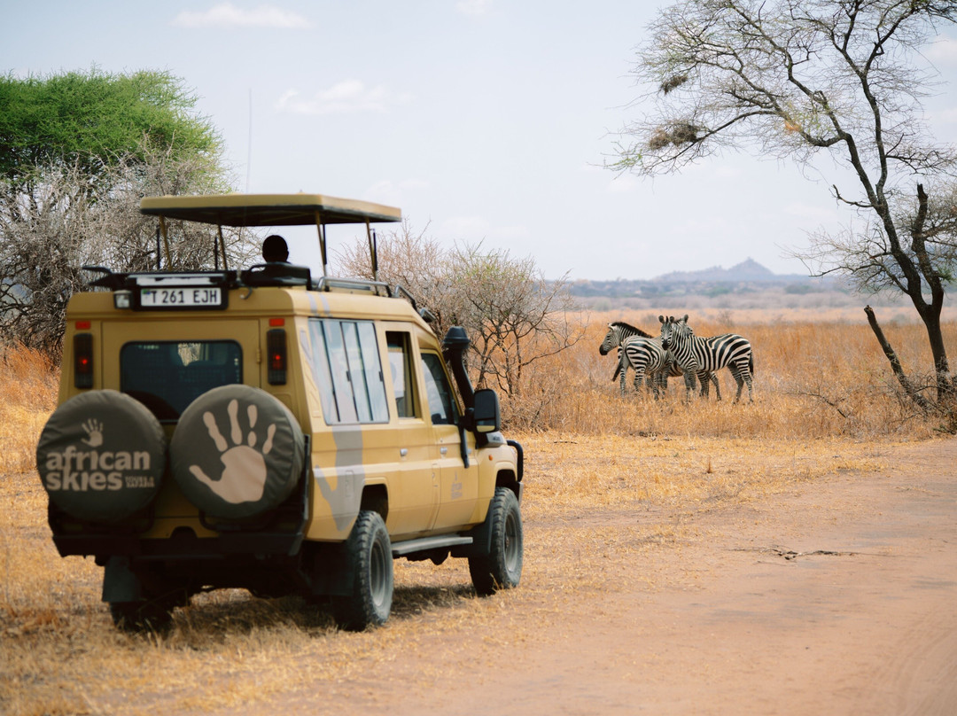 AfricanSkies