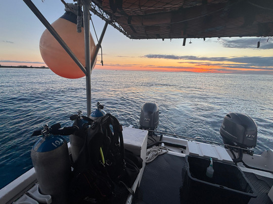 Scuba Life Cozumel-San Miguel de Cozumel必去景点