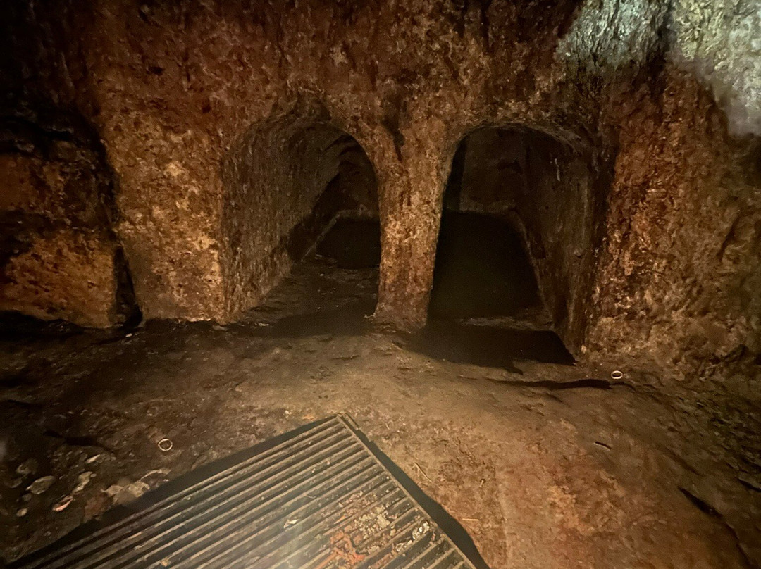 Tour with Dinur - Day Tours-耶路撒冷必去景点