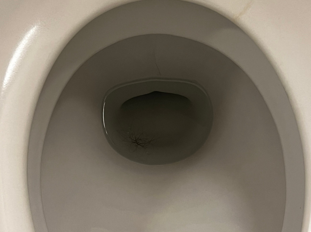 钟楼赛利酒店主图