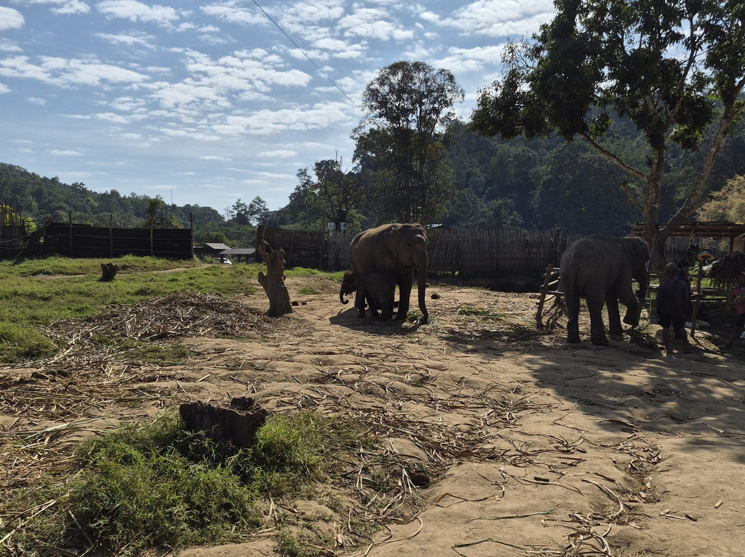 New Elephant Home-Kuet Chang必去景点