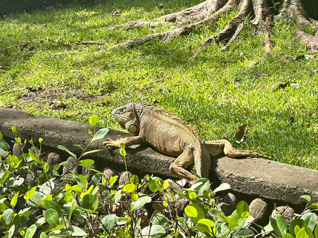 Costa Rica Best Tours-萨迪纳尔必去景点