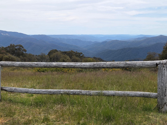 High Country Scenic Tours-曼斯菲尔德必去景点