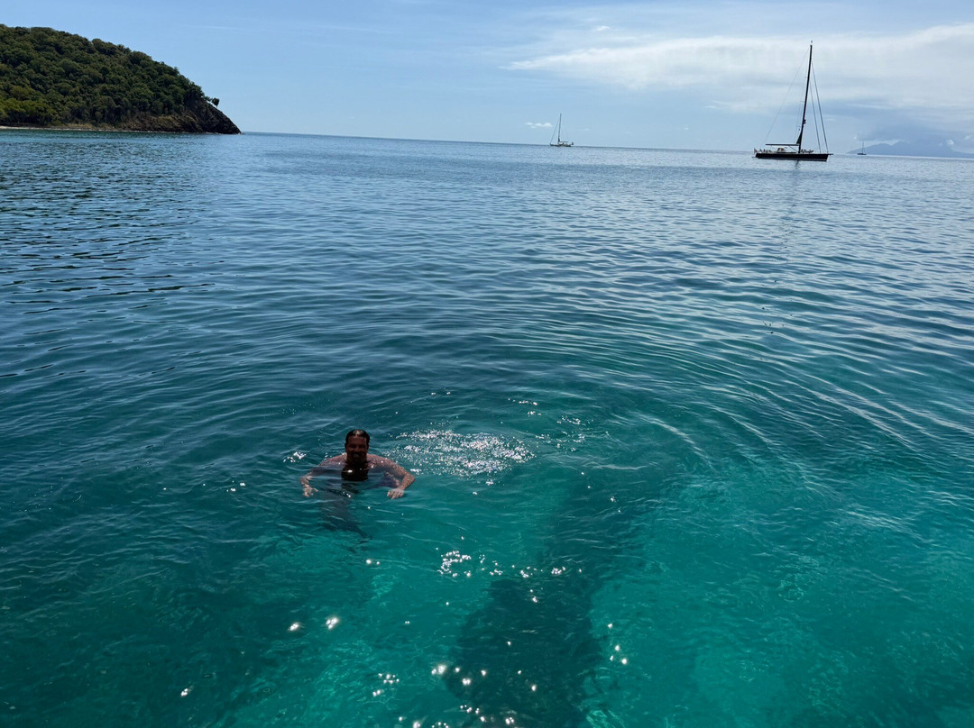 Catch The Cat - Private Sailing Charters-Jolly Harbour必去景点