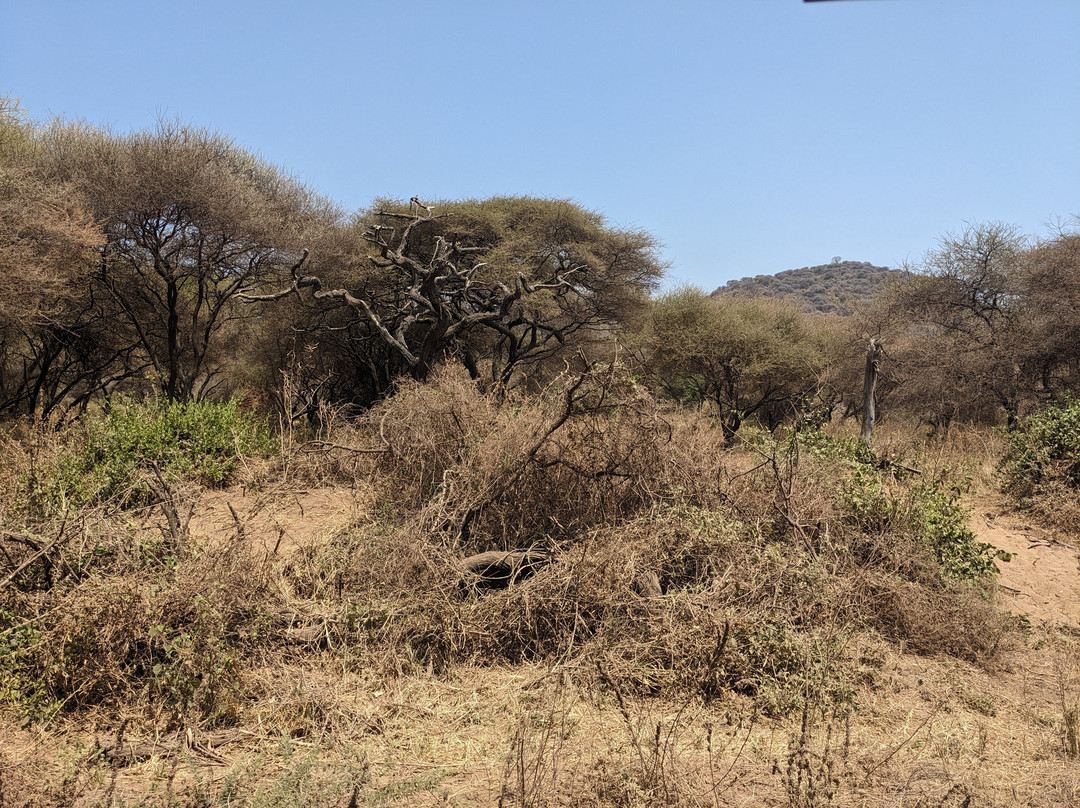 Climbing Kilimanjaro-Machame必去景点