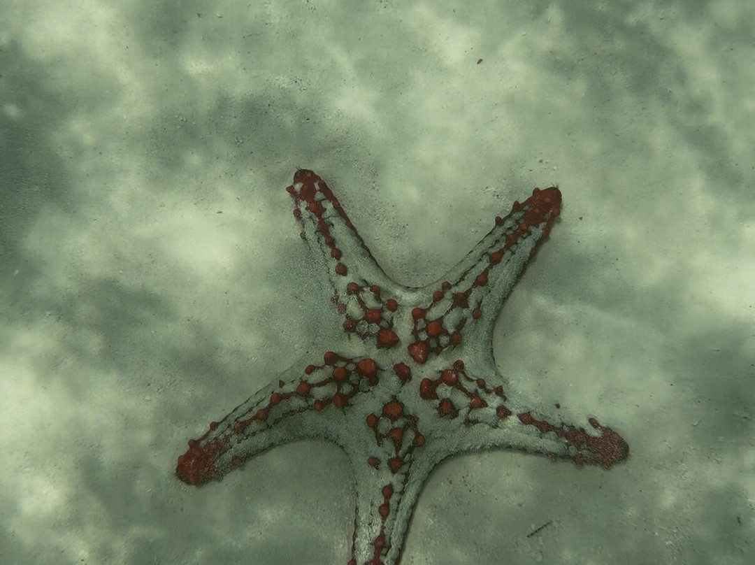 Raxy tours And Safaris-石头城必去景点