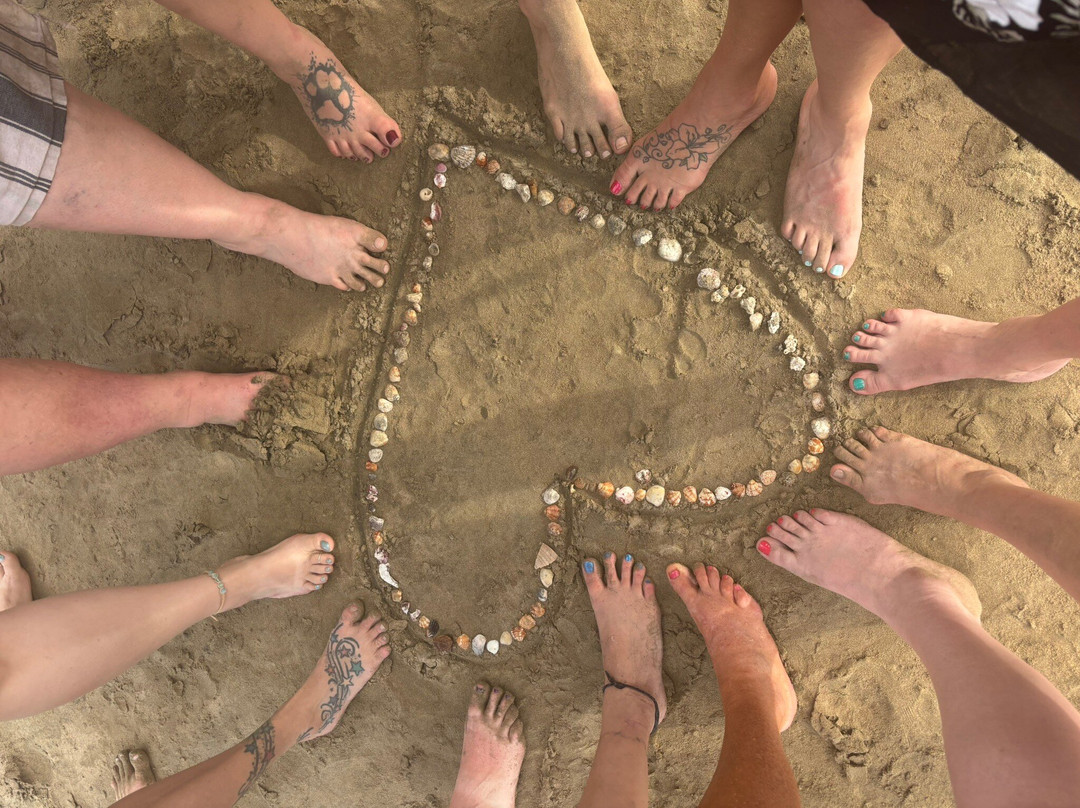 Tico Adventure Tours-拔西里多必去景点