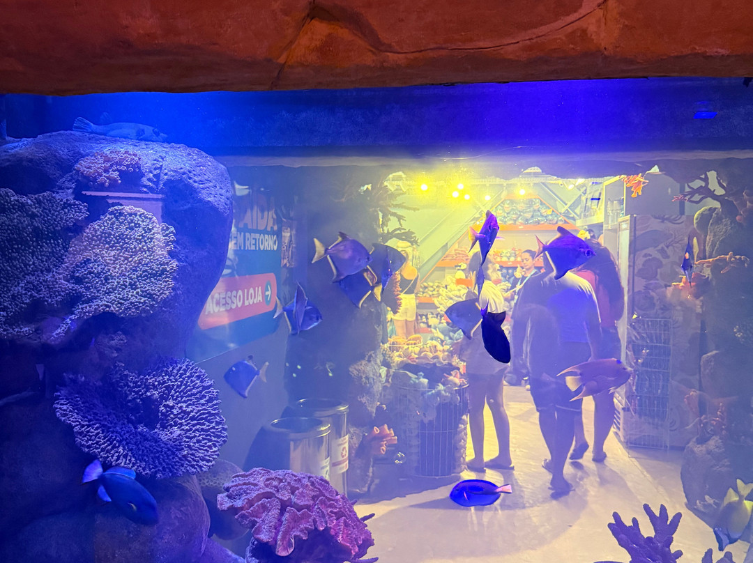 Oceanic Aquarium-康泊琉海水浴场必去景点
