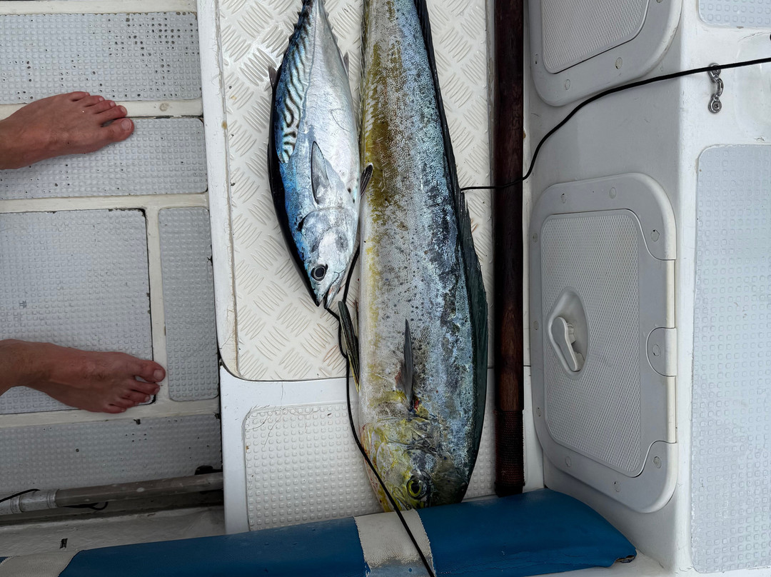 Billy's Charter-贝隆布尔必去景点