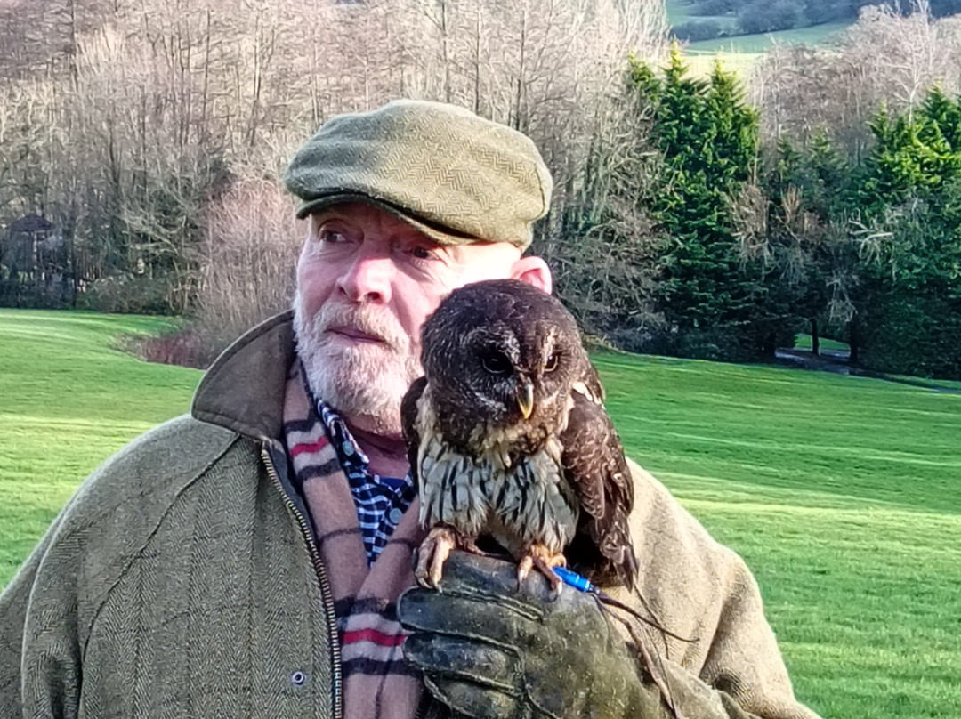 Robin Hill Adventure Park-纽波特必去景点