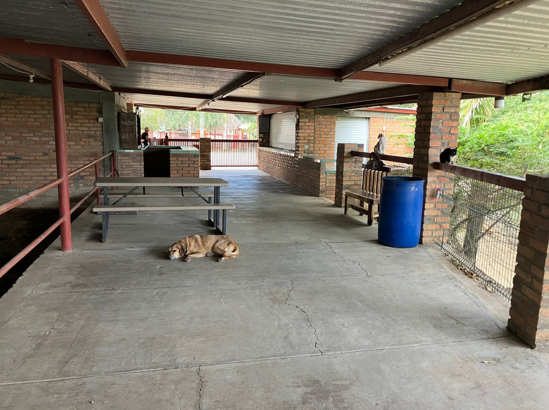 Jaltemba Equine Education Project (J.E.E.P.)-La Peñita de Jaltemba必去景点