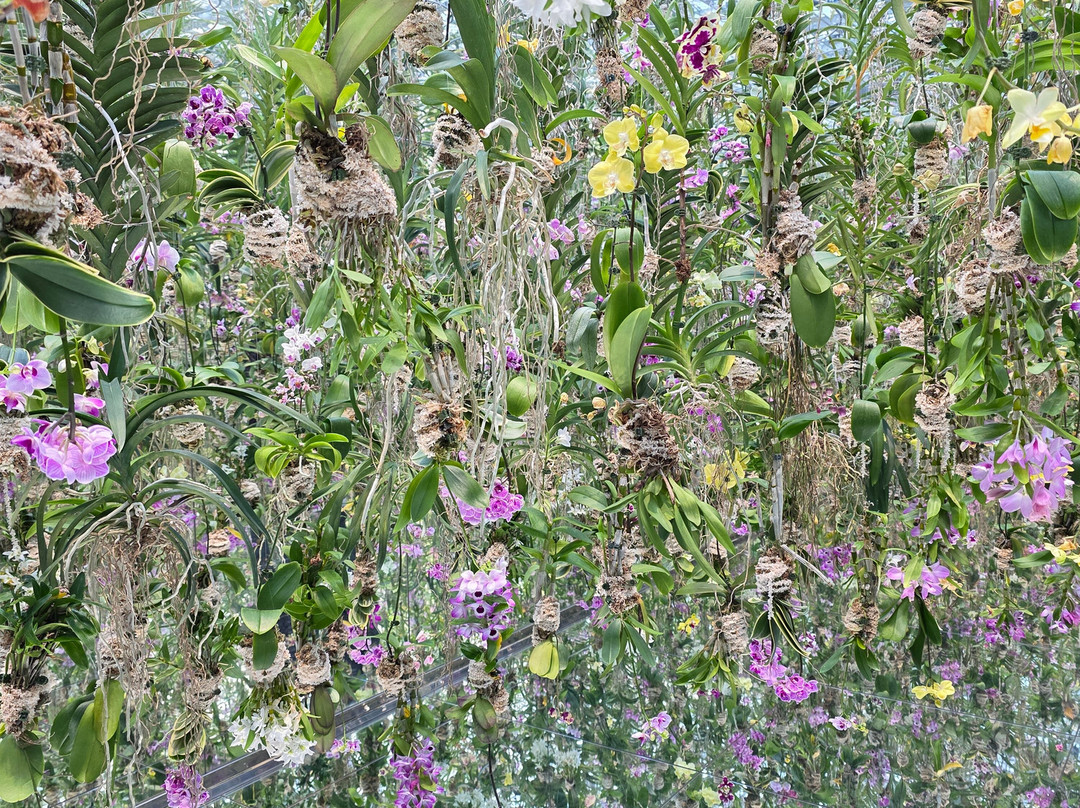 teamLab Planets TOKYO-Toyosu必去景点