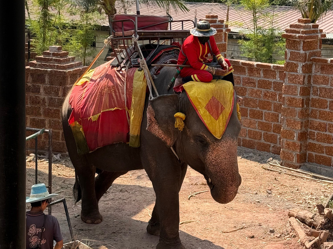 Aj Travel-曼谷必去景点