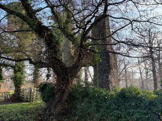 Whitlingham Country Park-诺威奇必去景点