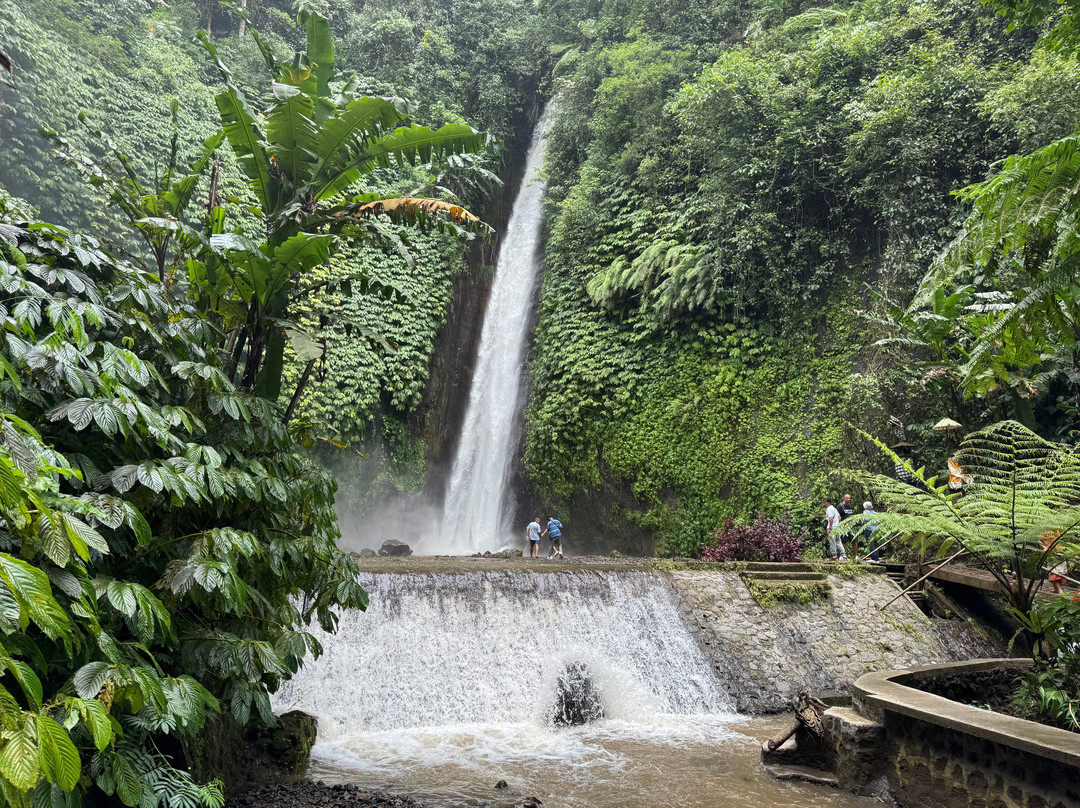 Bli Gojink Bali Professional Bali Driver-新加拉惹必去景点