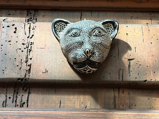 Hotel Posada Yolihuani主图