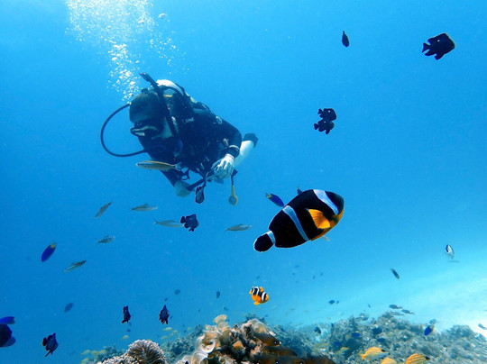 Orca Dive Club - Pereybere-Pereybere必去景点