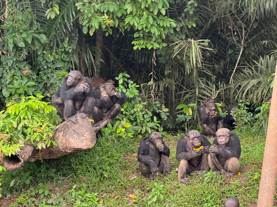 Le Guide Du Congo-Pointe Noire必去景点