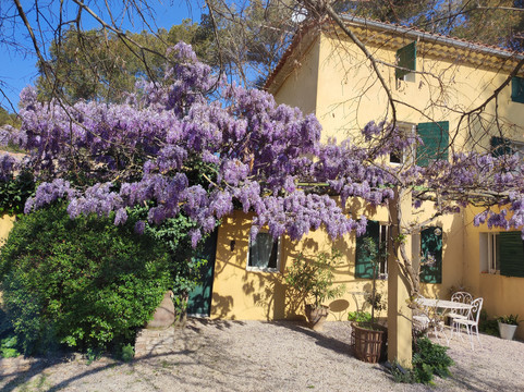 奥卢戴斯酒店主图