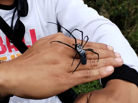 Bali Fun Bike Adventure-Pejeng Kaja必去景点