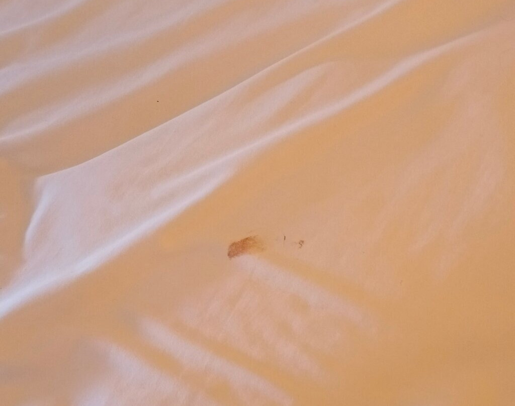 WH旗下的88号贝卡西酒店主图