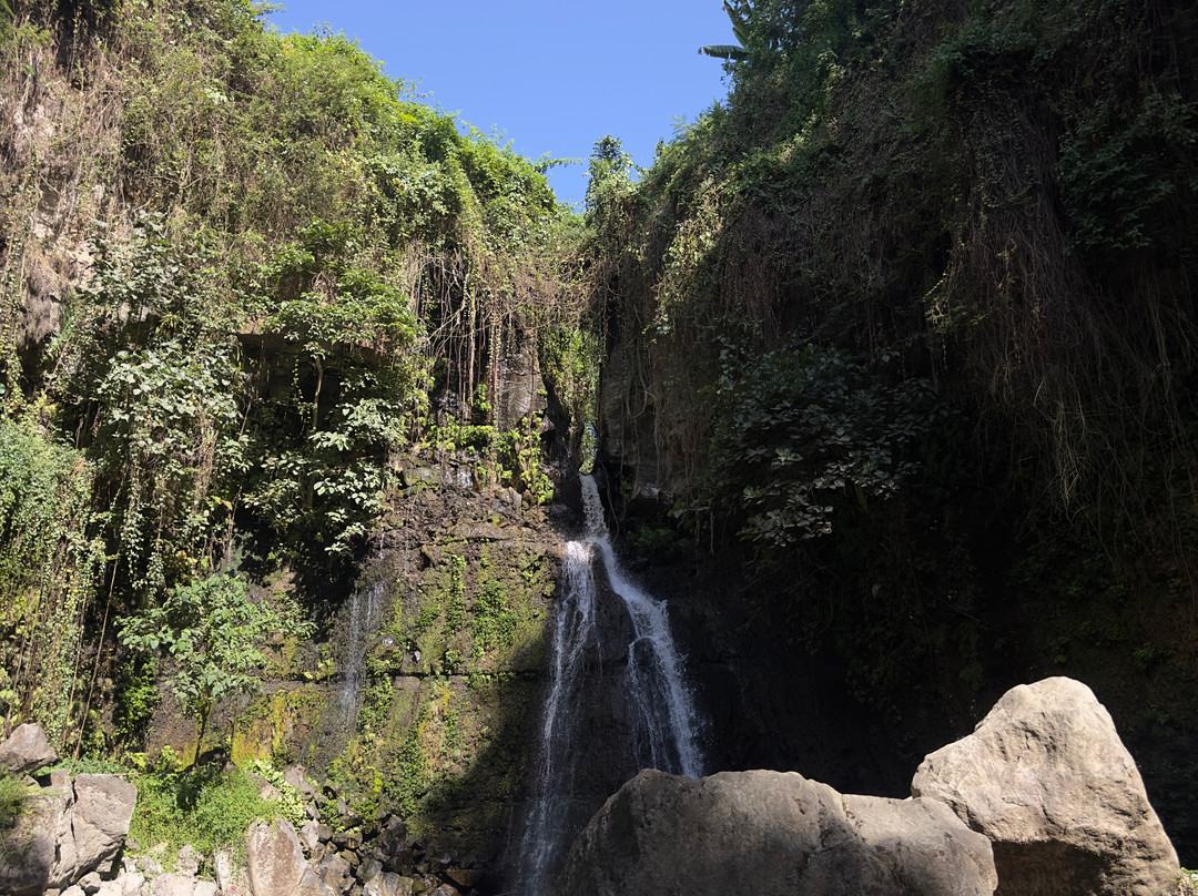 Mangalia Waterfalls-阿鲁沙必去景点