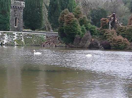 Johnstown Castle-County Wexford必去景点