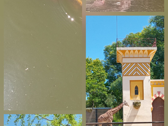 Eco Parque-布宜诺斯艾利斯必去景点