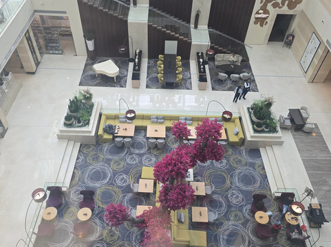 罗塔纳羚羊主图