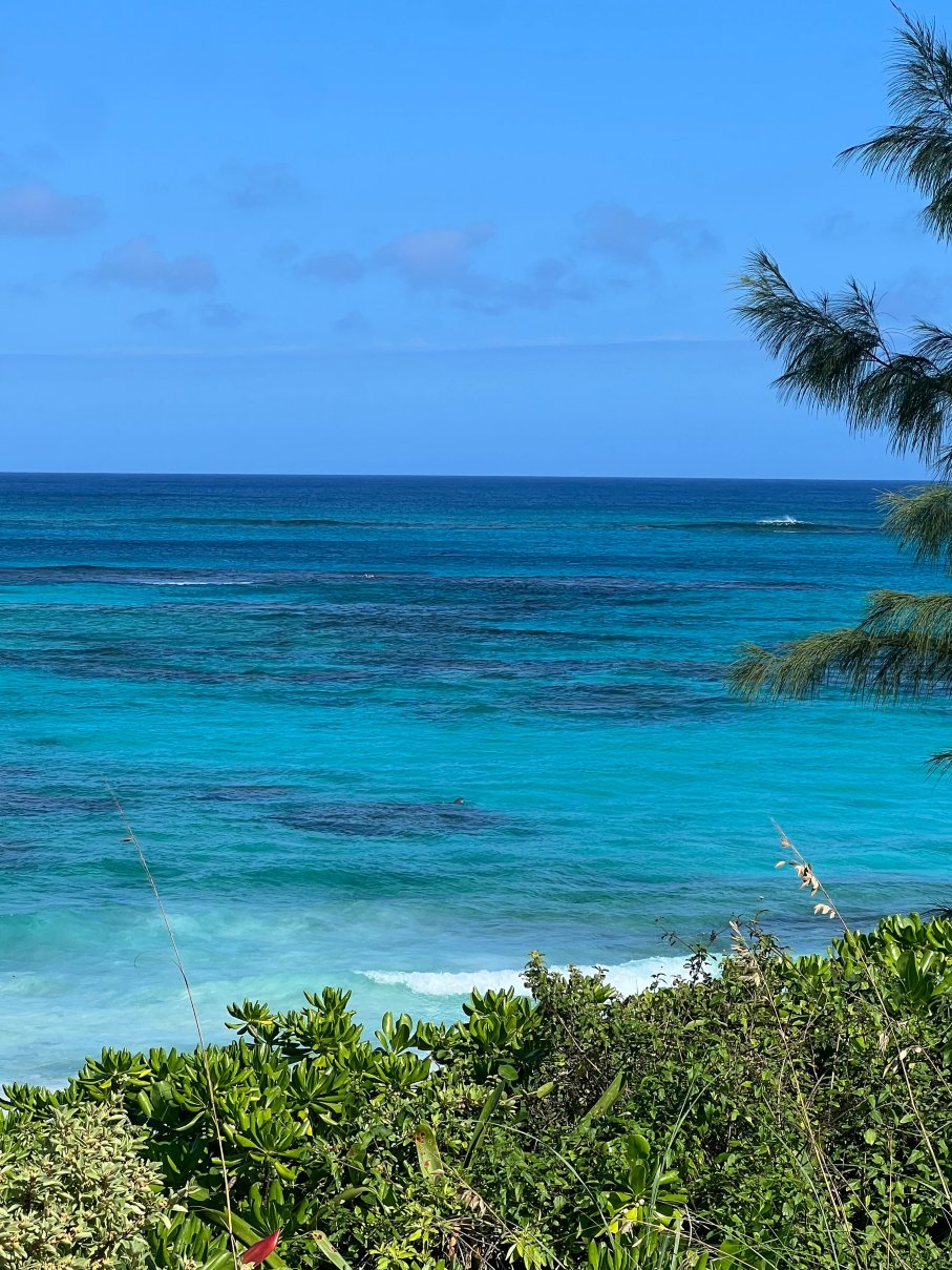 Mika's Resort-官方