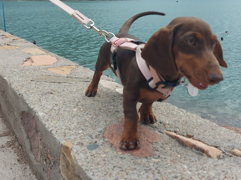 Los Reyunos Dam-圣拉斐尔必去景点