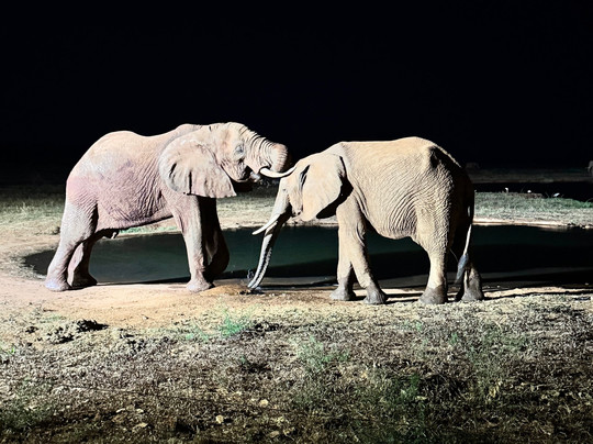 Discovery Kenya con Fragola-瓦塔木必去景点