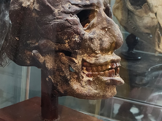 The Museum Of Curiosities-诺丁汉必去景点