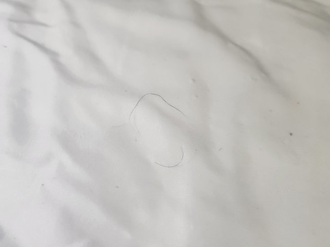 Quality Inn Franklin I-65主图